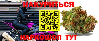 Альфа ПВП Севастополь