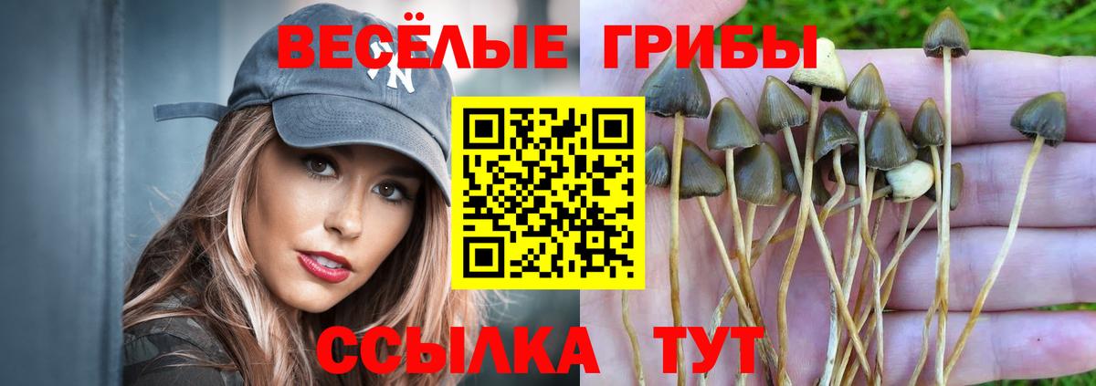 Галлюциногенные грибы мухоморы  Вход с VPN  Лениногорск 